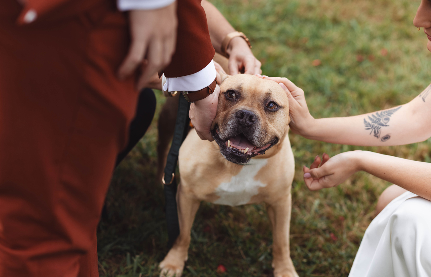 Manon Knasko Photographies